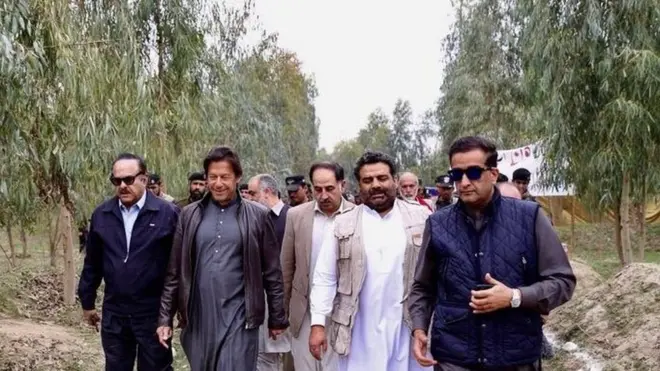 شجر کاری منصوبہ