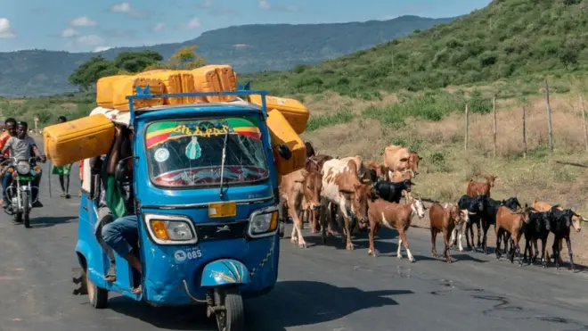 Baajaajii, 2018tti kan kahe