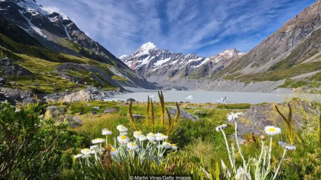 Việc New Zealand hành động quyết liệt, đóng cửa biên giới và phong tỏa đất nước khiến nơi đây trở nên an toàn để phục hồi kinh tế ổn định