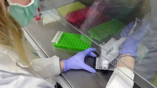 Covid 19 ilə bağlı labaratoriyada təhqiqat
