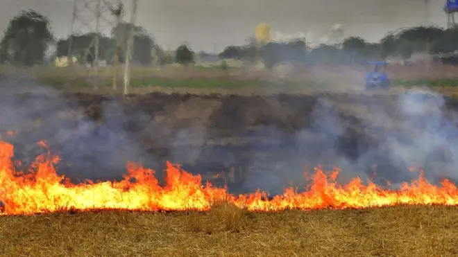 Stubble being burnt near the Indian city of Ludhiana