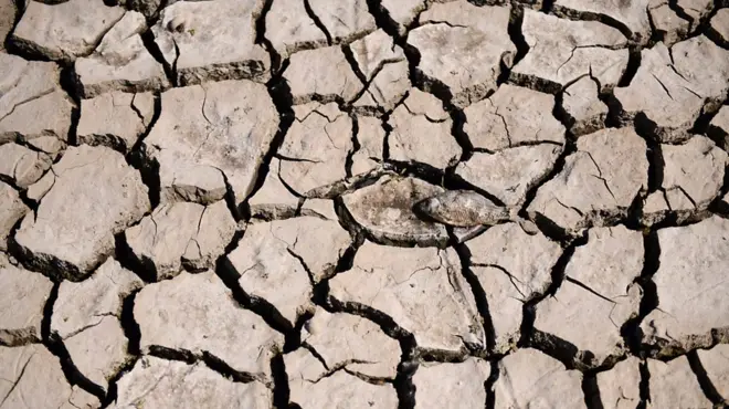 ناسا: المياه تنفد من العالم