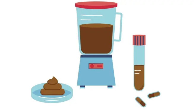 Los procedimientos varían, pero se ha experimentado con enema, colonoscopia, por vía oral con una cápsula o mediante un tubo nasogástrico o nasoduodenal.