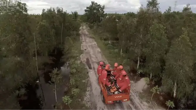 Индонезиядаги ўрмон ўт ўчрувчилари