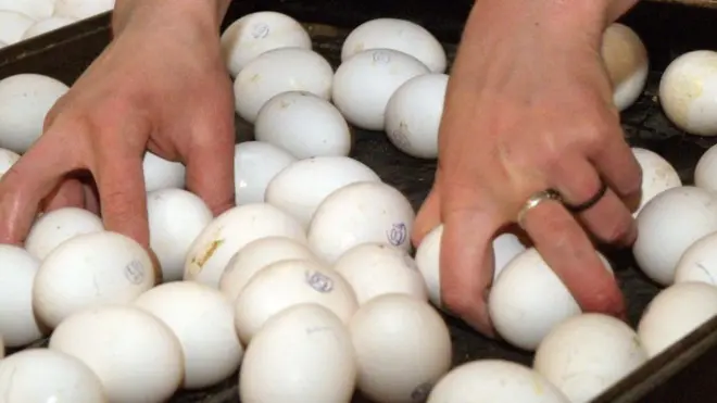 Україна звернулась до партнерів, аби не призупиняти експорт продуктів птахівництва.