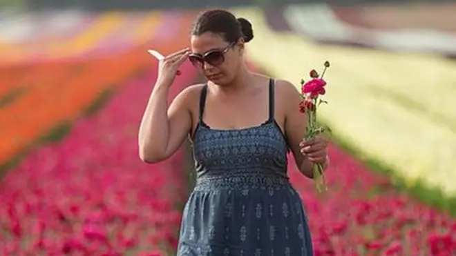 ઇઝરાયલના ખેતરની પ્રતિકાત્મક તસવીર