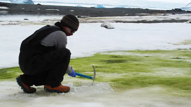 Matt Davey with bloom