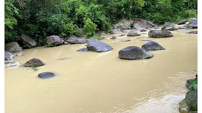Dòng suối bên phía Tây Thiên đục ngầu, do sạt lở đất vì phải chịu sự tác động chặt phá trong lõi rừng của bên Vườn quốc gia Tam Đảo 2 (ảnh và chú thích của bà Cao Vĩnh Thịnh gửi cho BBC)