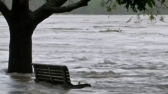 Затопленный парк