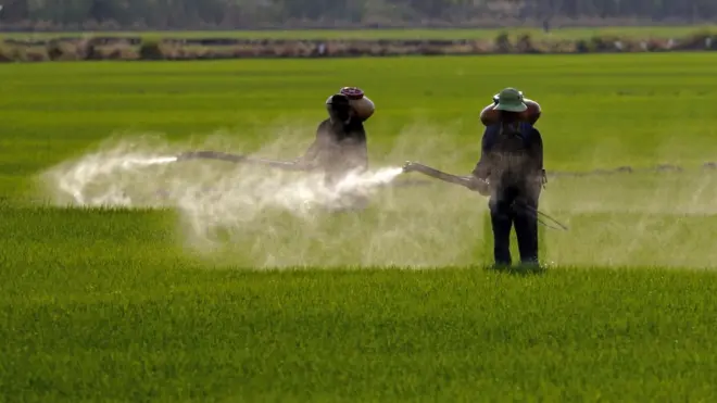 O processo foi o primeiro alegando que agrotóxicos com glifosato causam câncer a ir a julgamento