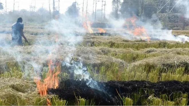 فصلوں کی باقیات کو لگائی جانے والی آگ شمالی انڈیا اور جنوبی پاکستان میں سموگ کی بڑی وجہ ہے لیکن انڈین پنجاب کی نوجوان کسان امن دیپ کور کے پاس اس مسئلے کا حل موجود ہے۔