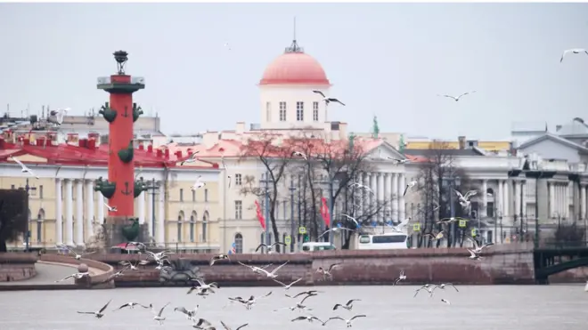 Стрелка Васильевского острова