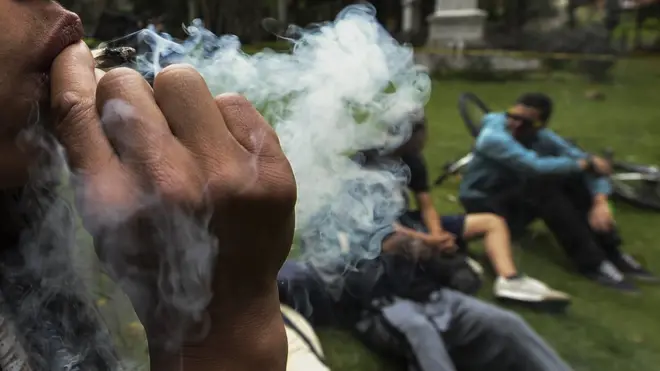 Goment law say na serious offence to plant or smoke Igbo for Nigeria