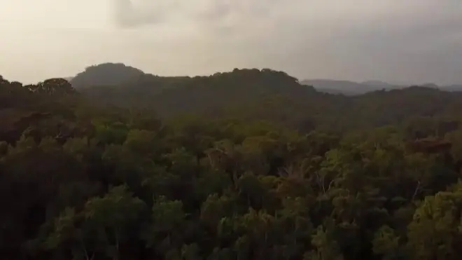 निकुञ्ज