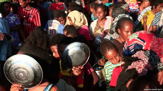 भोजन की तलाश