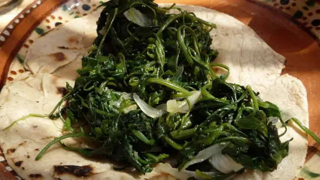 Foto: Cortesía de la Dirección General de Comunicación Social de la UNAM.