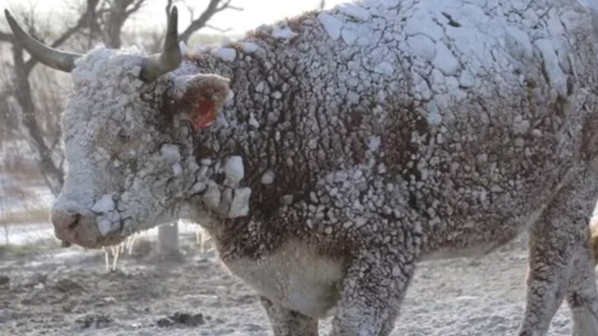 तूफ़ान से साउथ डकोटा भी प्रभावित