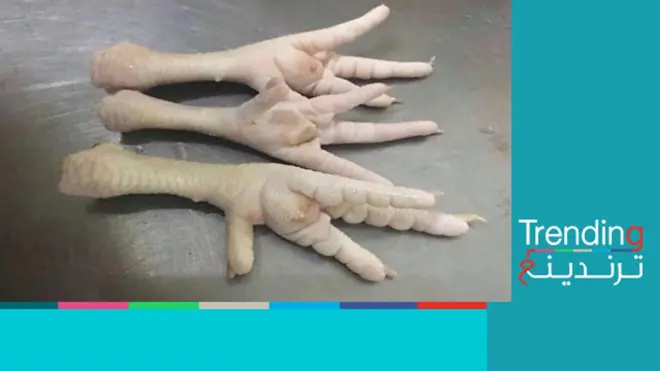 أرجل الدجاج تثير الجدل في مصر بعد ترويج رسمي لفوائدها الغذائية