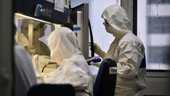 Науковці ще знайшли протидії новому коронавірусу