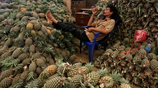 Nanas dianggap tabu oleh sebagian orang karena dianggap akan merusak kesuburan remaja putri.