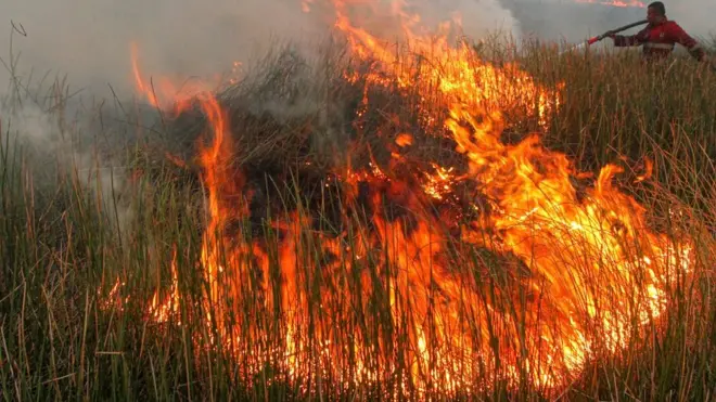 Indonesia is battling fires on peatland, which is often set alight to clear land for plantations, and can spread into protected forested areas