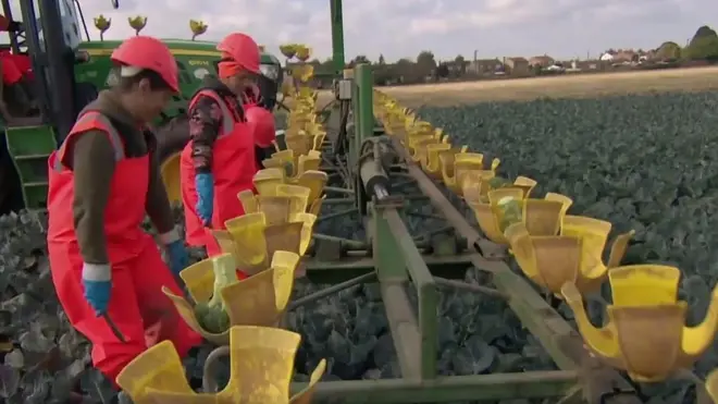 રોબૉટ ખેડૂત