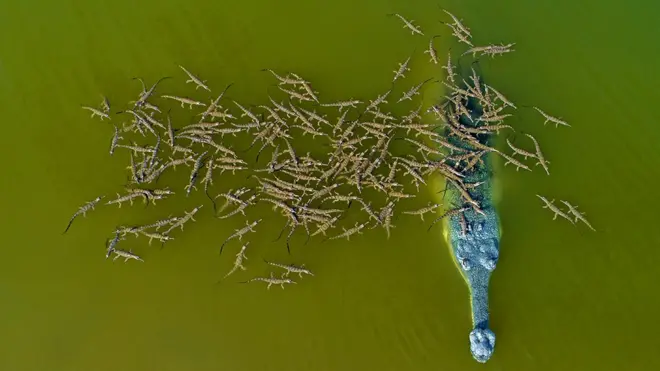 Another view from the sequence of images taken by Dhritiman Mukherjee