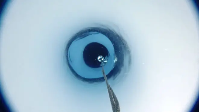 Жизнь подо льдами Антарктики