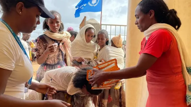 የዓለም ምግብ ድርጅት