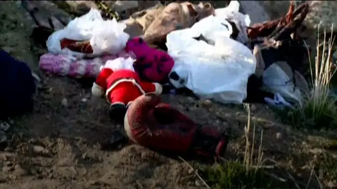 Літак МАУ катастрофа в Ірані