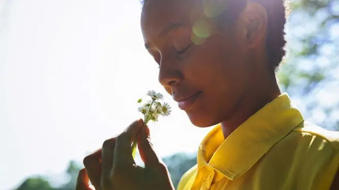 किसी गंध के अनुभव से हमारी कई भावनाएं और यादें ताज़ा हो जाती हैं.