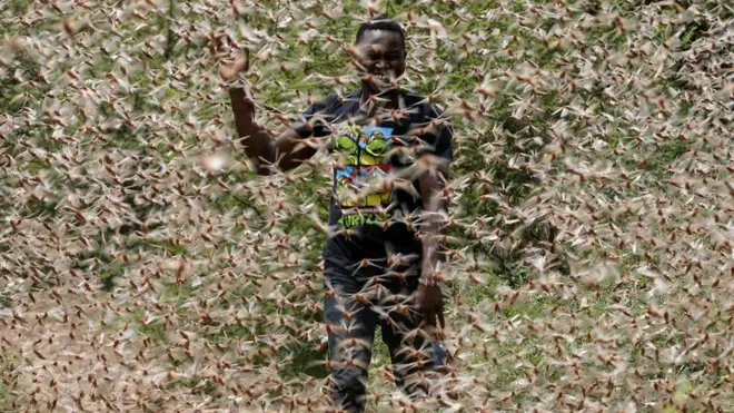 A man runs through a desert locust swarm in the bush near Enziu, Kitui county, about 200km (124 miles) east of the capital, Nairobi