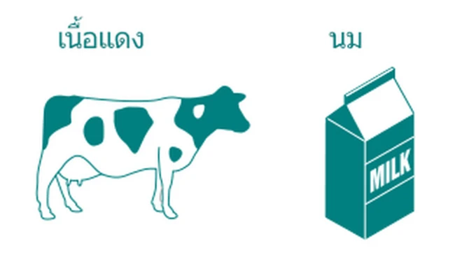 แผนภูมิการบริโภคในครัวเรือนอิหร่าน