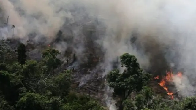 غابات الأمازون تحترق – فمن المسؤول؟