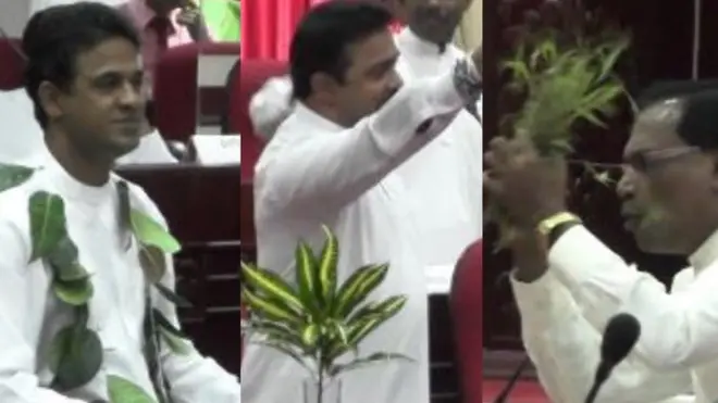 පළාත් සභාවේ ‘තණකොළ, කොස්කොළ’