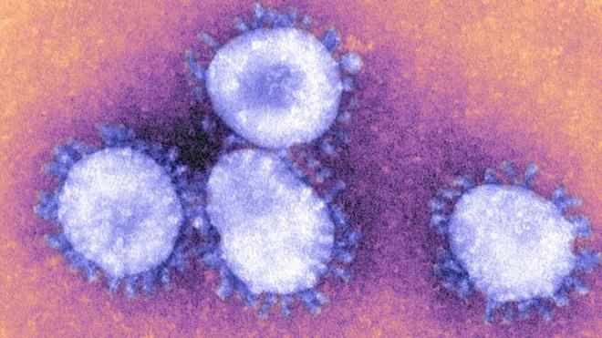 Коронавірус