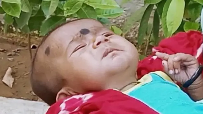 مینا کا بچہ