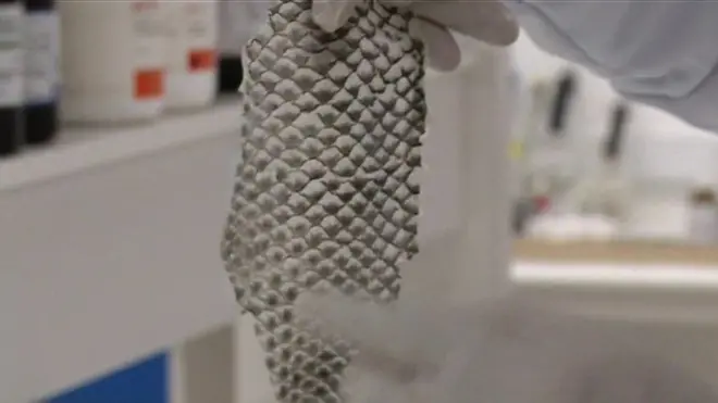 经洁净之罗非鱼鱼皮