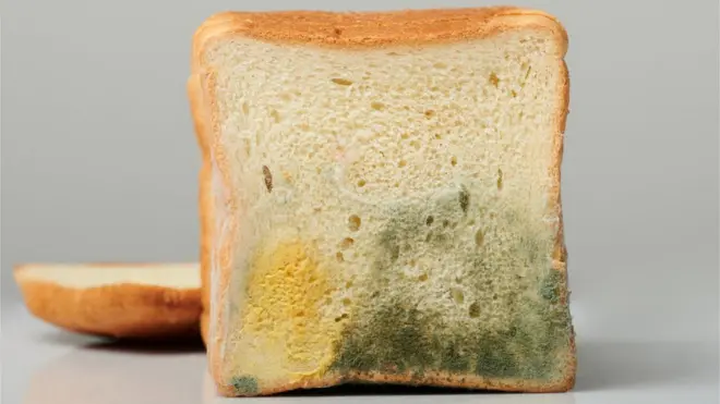 బ్రెడ్, కూరగాయలు, చీజ్, జామ్ లాంటివి ఎక్స్పైరీ డేట్ దాటిపోయిందని పారేయడం సహజం