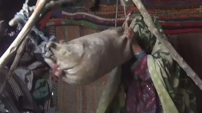 خانہ بدوشی کی زندگی گزارنے والی ناز بی بی کے معمولات زندگی میں جو کام سب سے زیادہ مشکل ہے وہ روایتی طریقے سے لسی بنانے کا ہے جس پر وہ روزانہ دو سے تین گھنٹے صرف کرتی ہیں۔