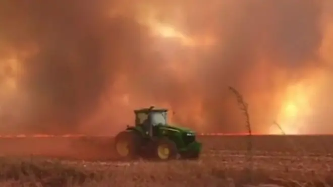 Požar u prašumi Amazona