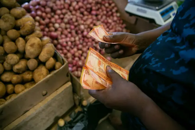Vegetable vendor counting money