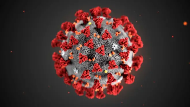 Nouveau coronavirus