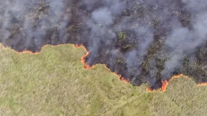 වන විනාශය : 'ලංකාවේ ලැව් ගිනි නැහැ. මාස හතට හෙක්ටයාර් 2500ක් ගිනි තියලා'