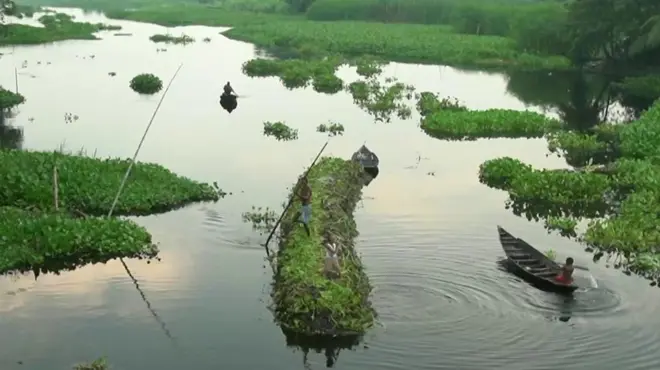 بنگلہ دیش کے تیرتے فارم