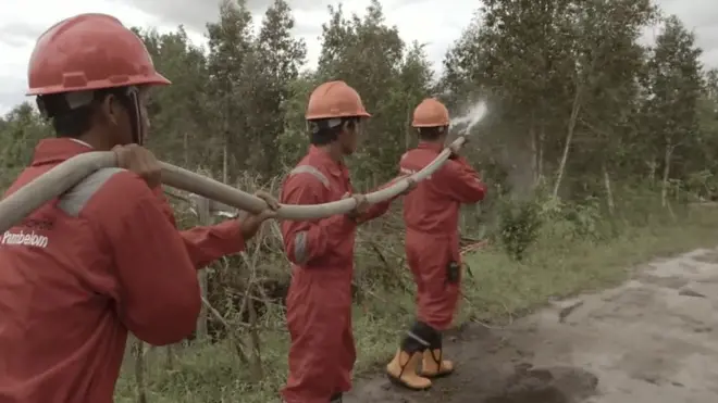 พนักงานดับเพลิงดับไฟป่า