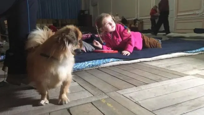 Дівчинка із собакою