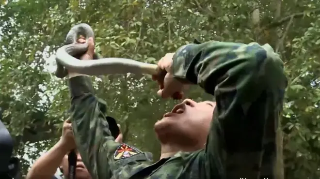 змія на сніданок