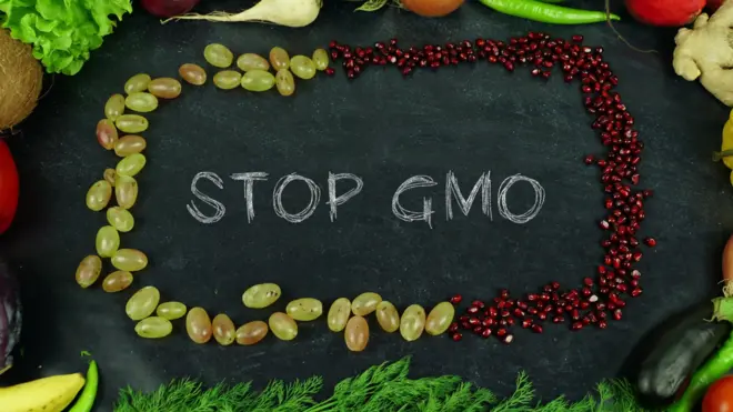 ГМО