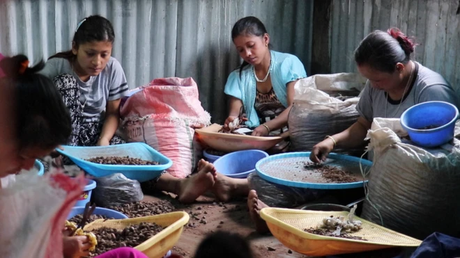 स्थानीय महिलाएं